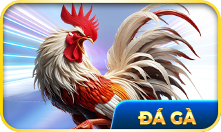 đá gà new88